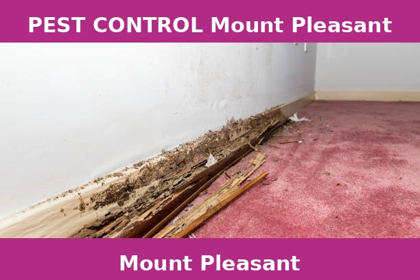 PEST CONTROL Mount Pleasant